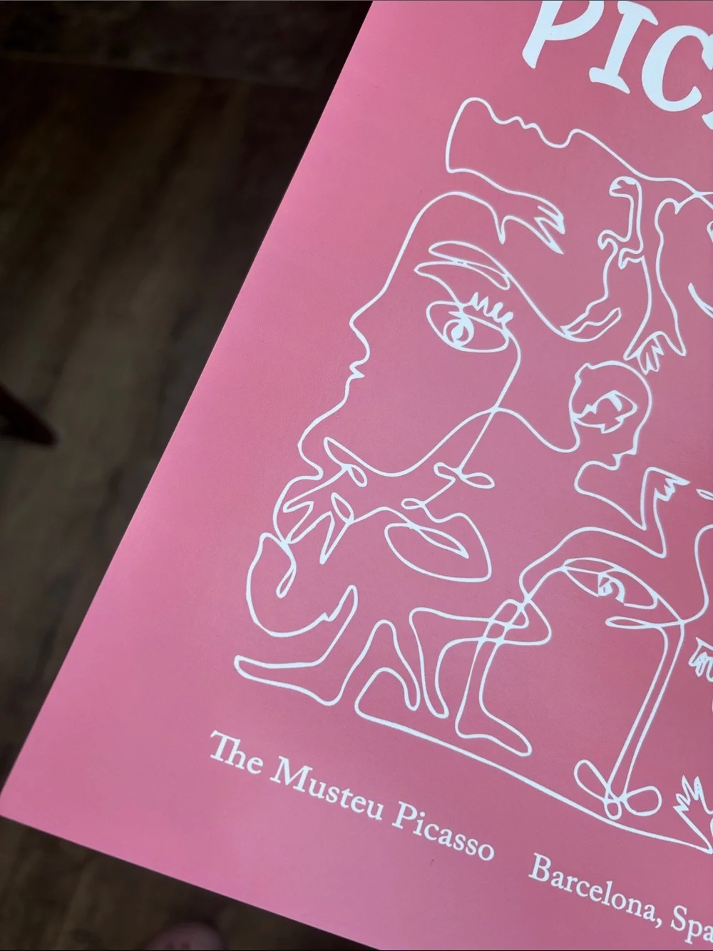 Picasso-Inspired Wall Art Trio in Pink
